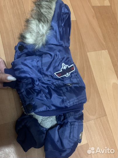 Одежда для собак