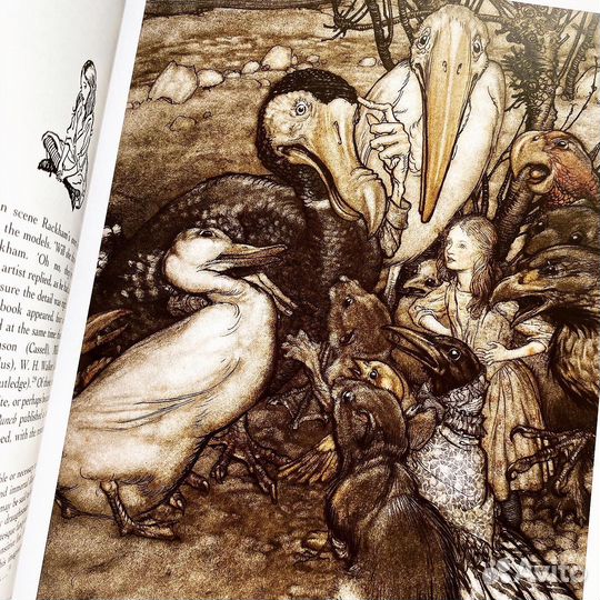 Arthur Rackham: A Life with Illustration книга