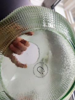Ваза Hubsch Hübsch зеленый шар