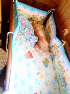 Кровать с матрасом борты в подарок