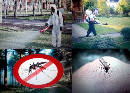 Обработка от Комаров насекомых и вредителей