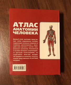 Атлас анатомии человека. Лёвкин