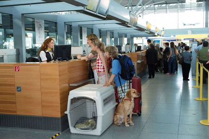 Перевозка животных Москва-Турция