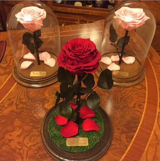 Стабилизированная роза в стеклянной колбе