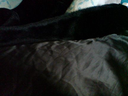 Эко-Шуба черная+ пальто черное