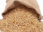 Пшеница, ячмень, овес, дробленка, гранулы, отруби