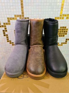 Мужские UGG оригинал