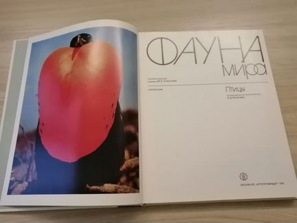 Книга-альбом Фауна мира