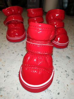 Обувь для собаки ботиночки