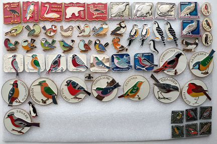 Фауна Зоопарки Животные Звери Птицы