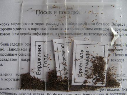 Семена табака курительного