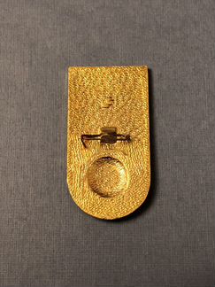 Значок Днепр чемпион