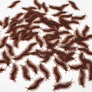 Сороконожка декор Хэллоуин